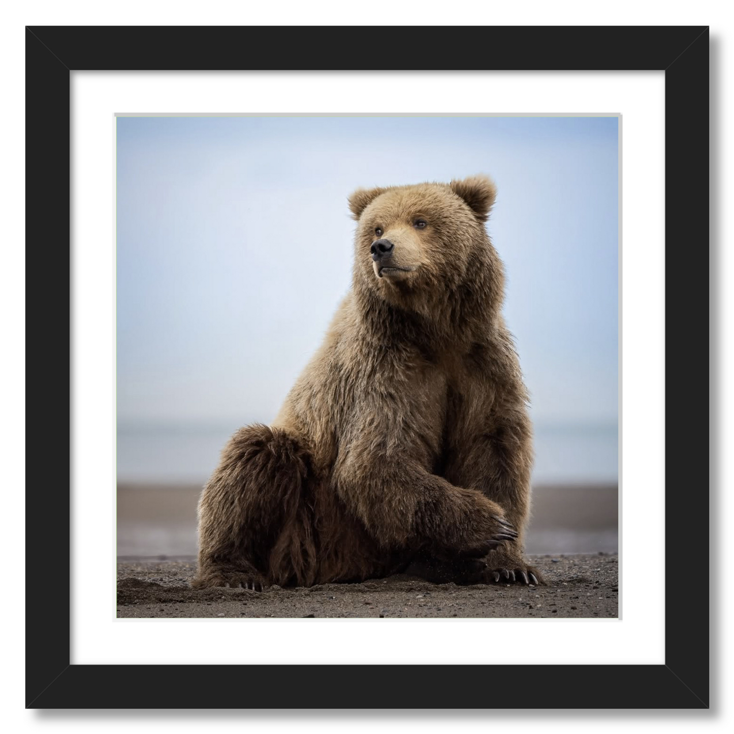 "Relaxing on the Beach"