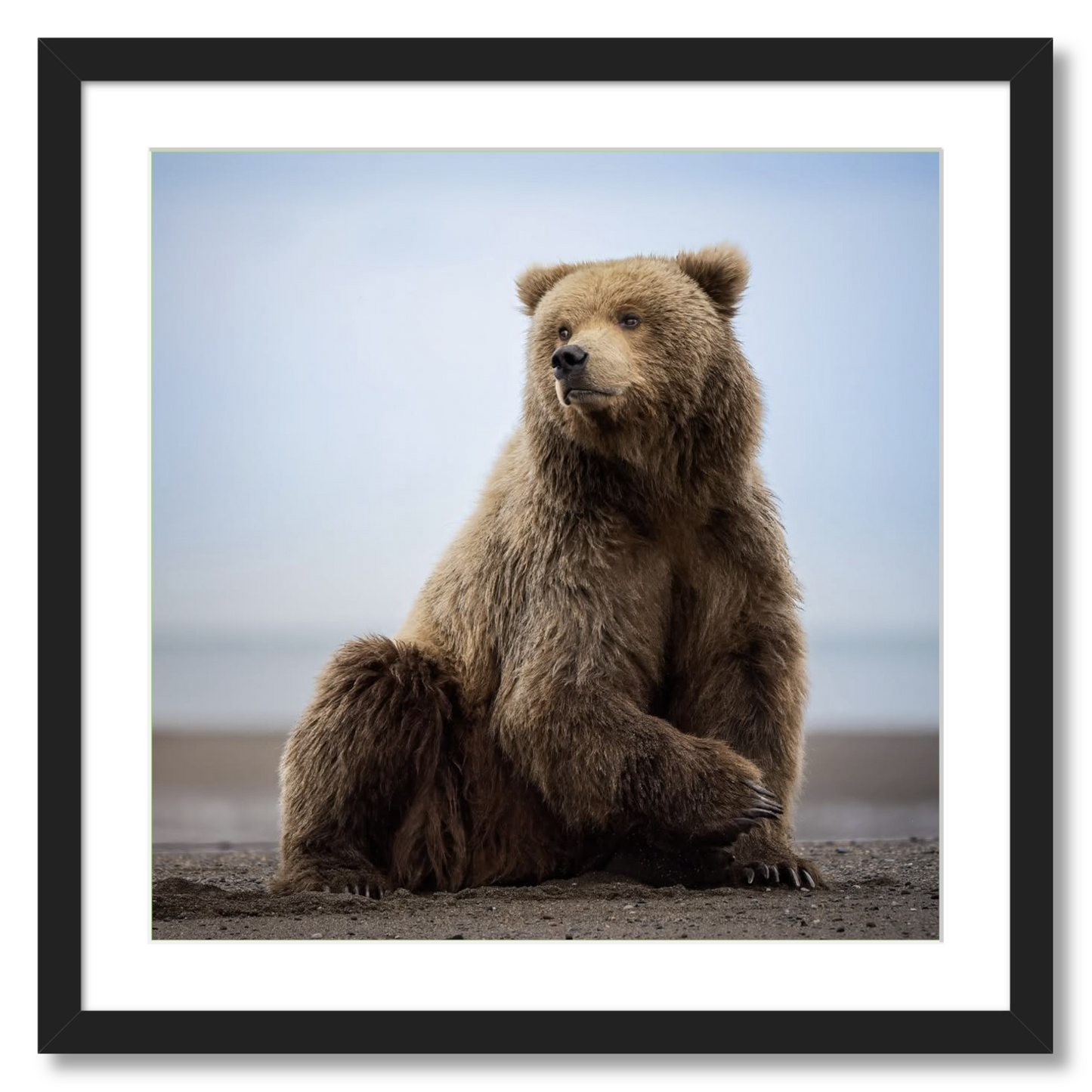 "Relaxing on the Beach"