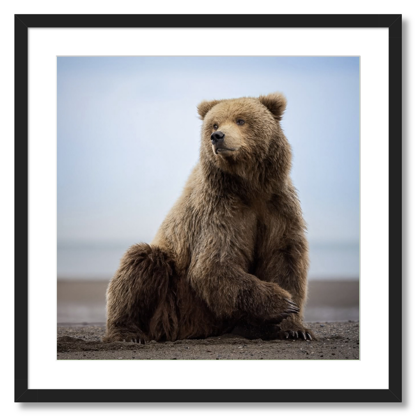 "Relaxing on the Beach"