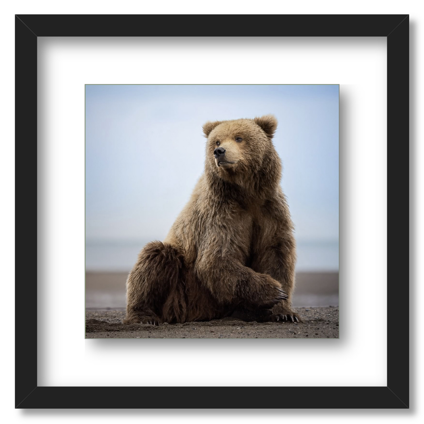 "Relaxing on the Beach"