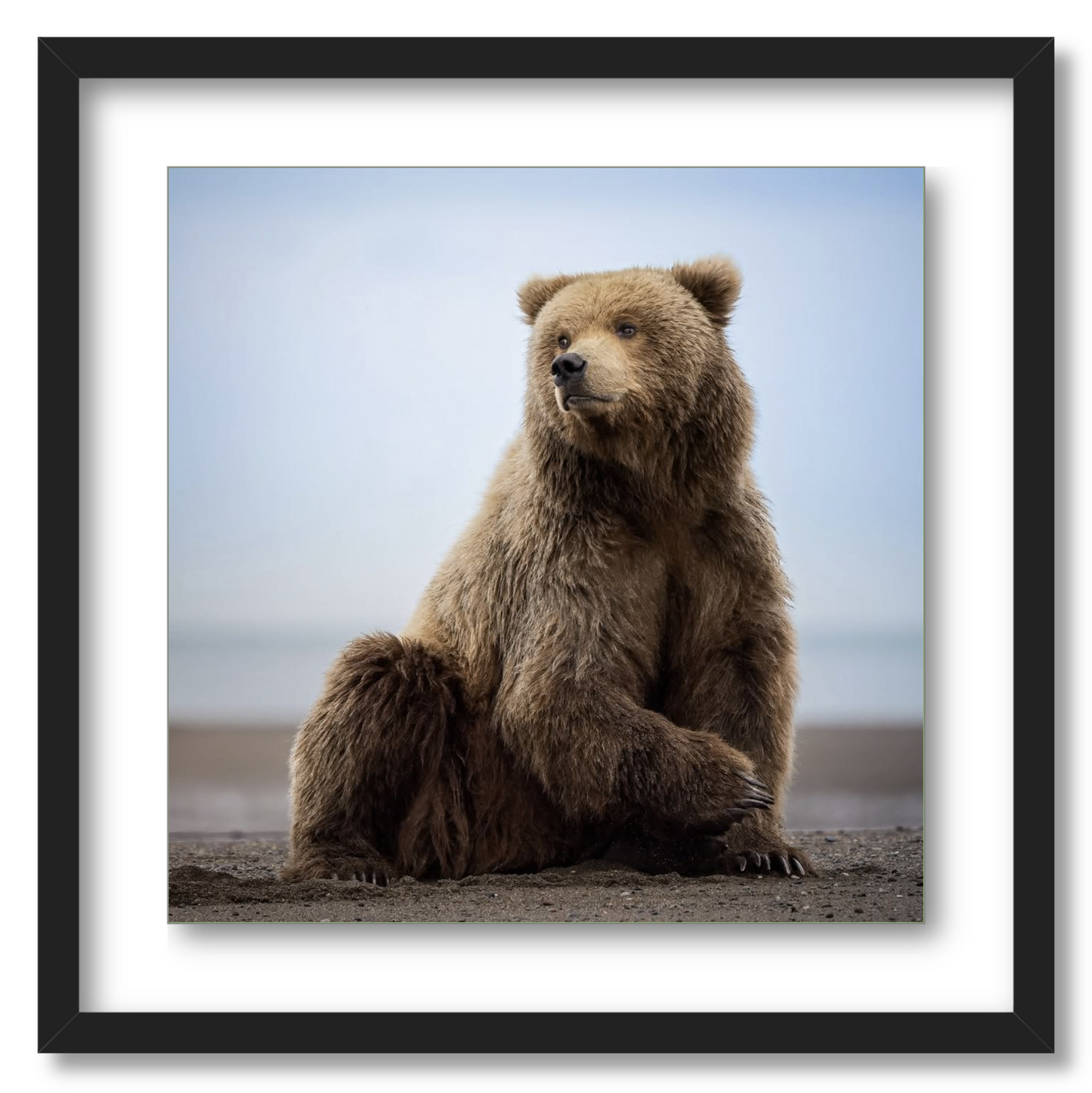 "Relaxing on the Beach"