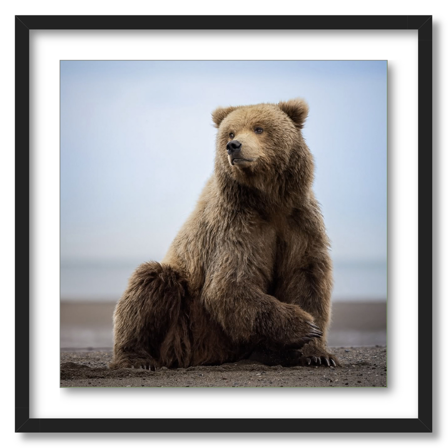 "Relaxing on the Beach"