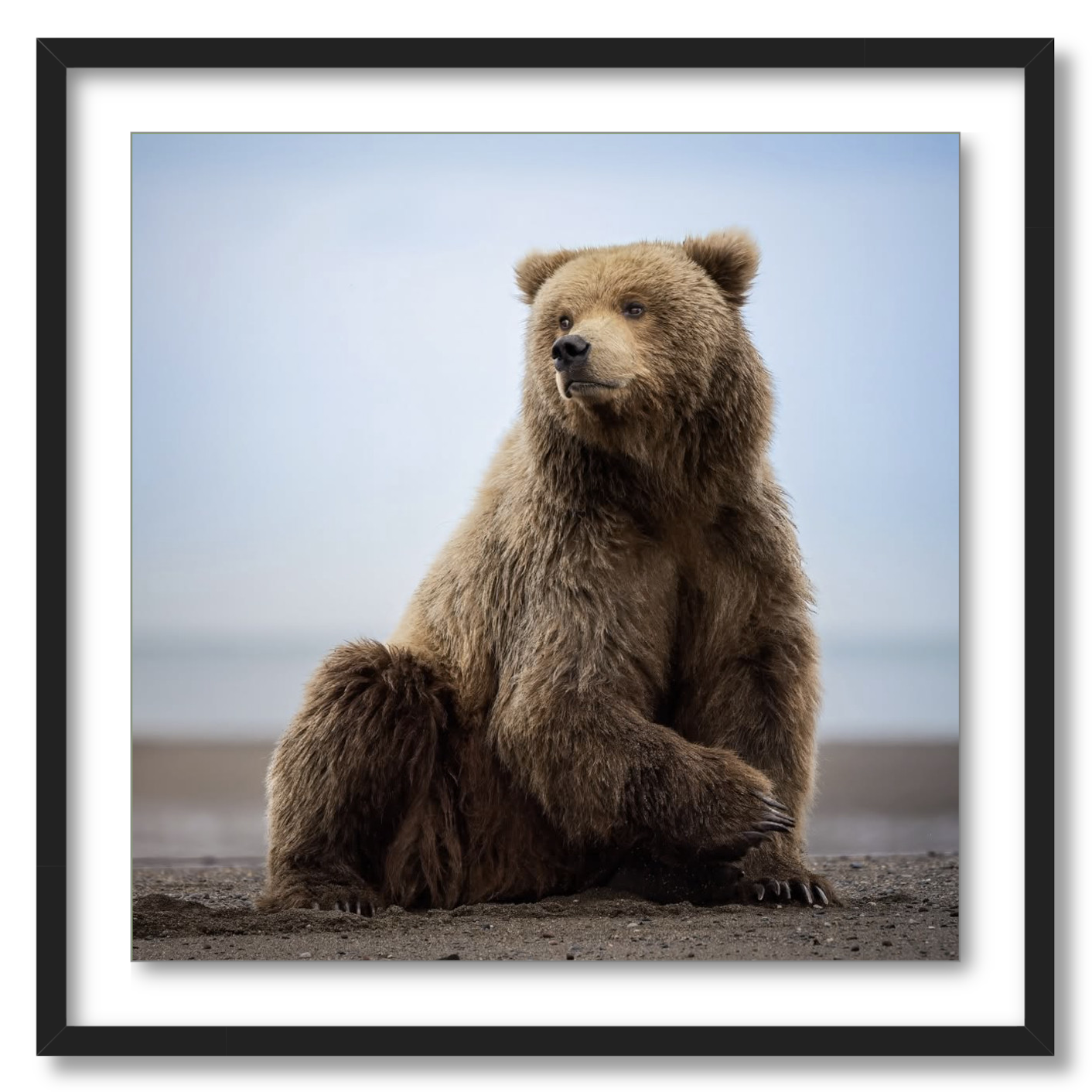 "Relaxing on the Beach"