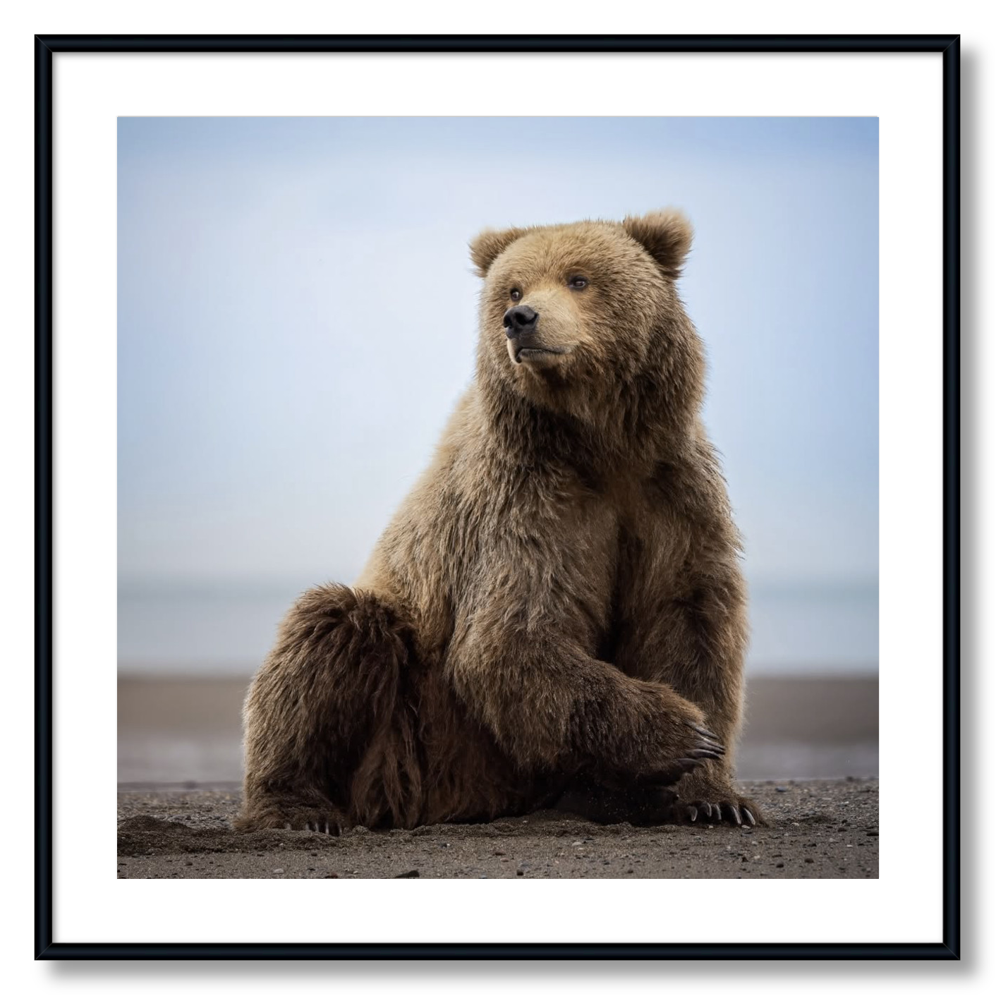 "Relaxing on the Beach"