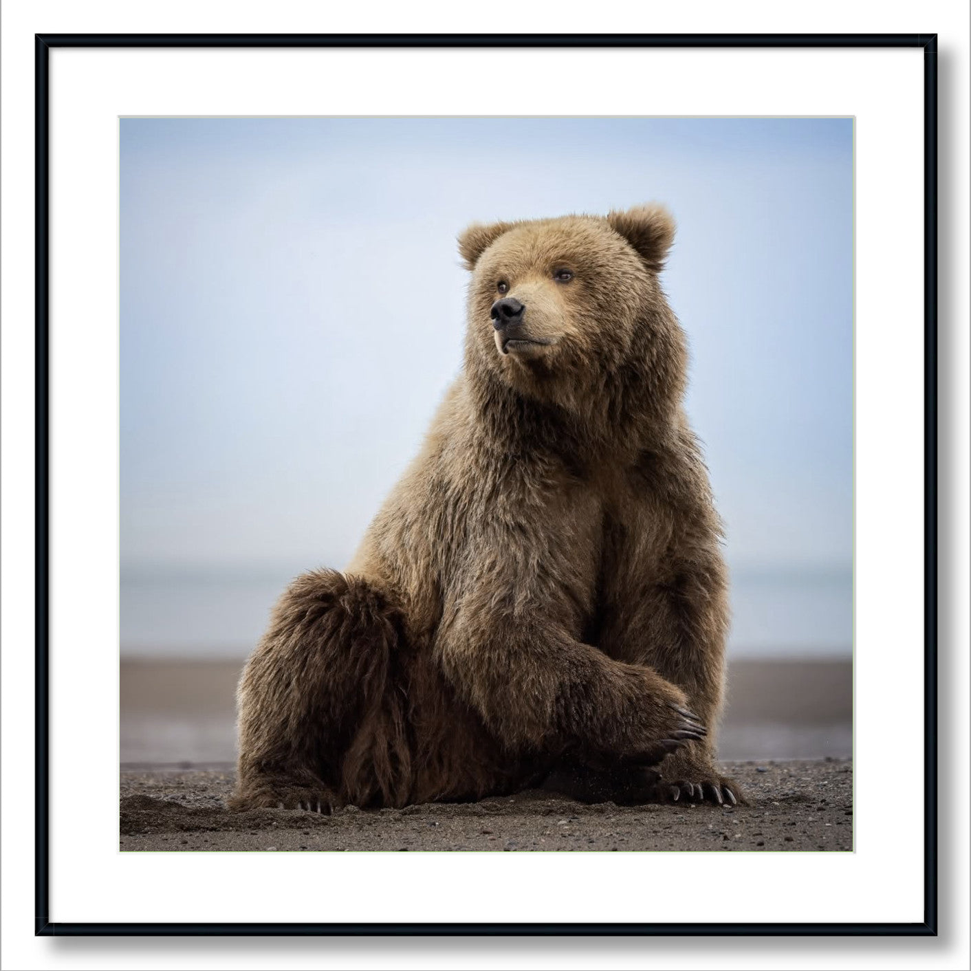 "Relaxing on the Beach"