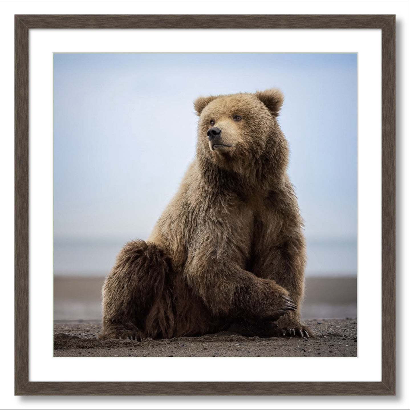 "Relaxing on the Beach"