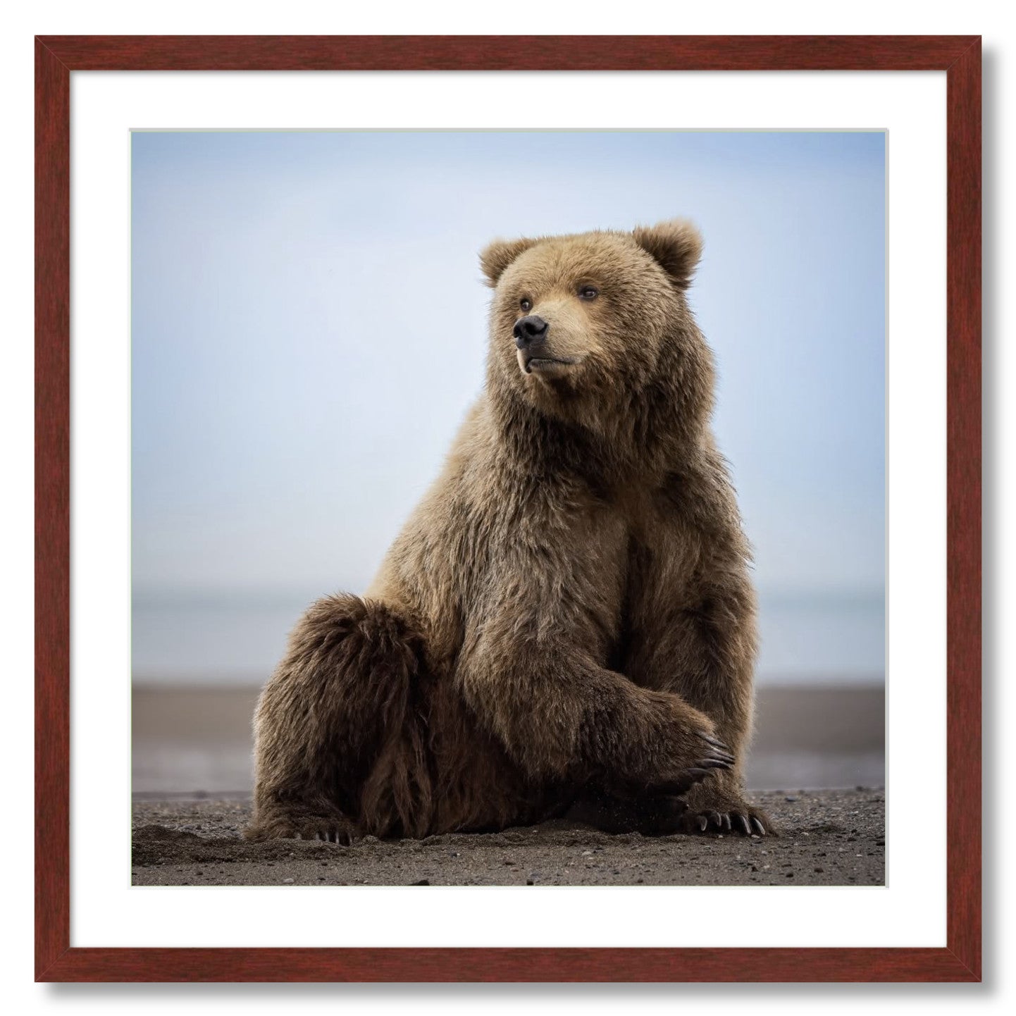 "Relaxing on the Beach"