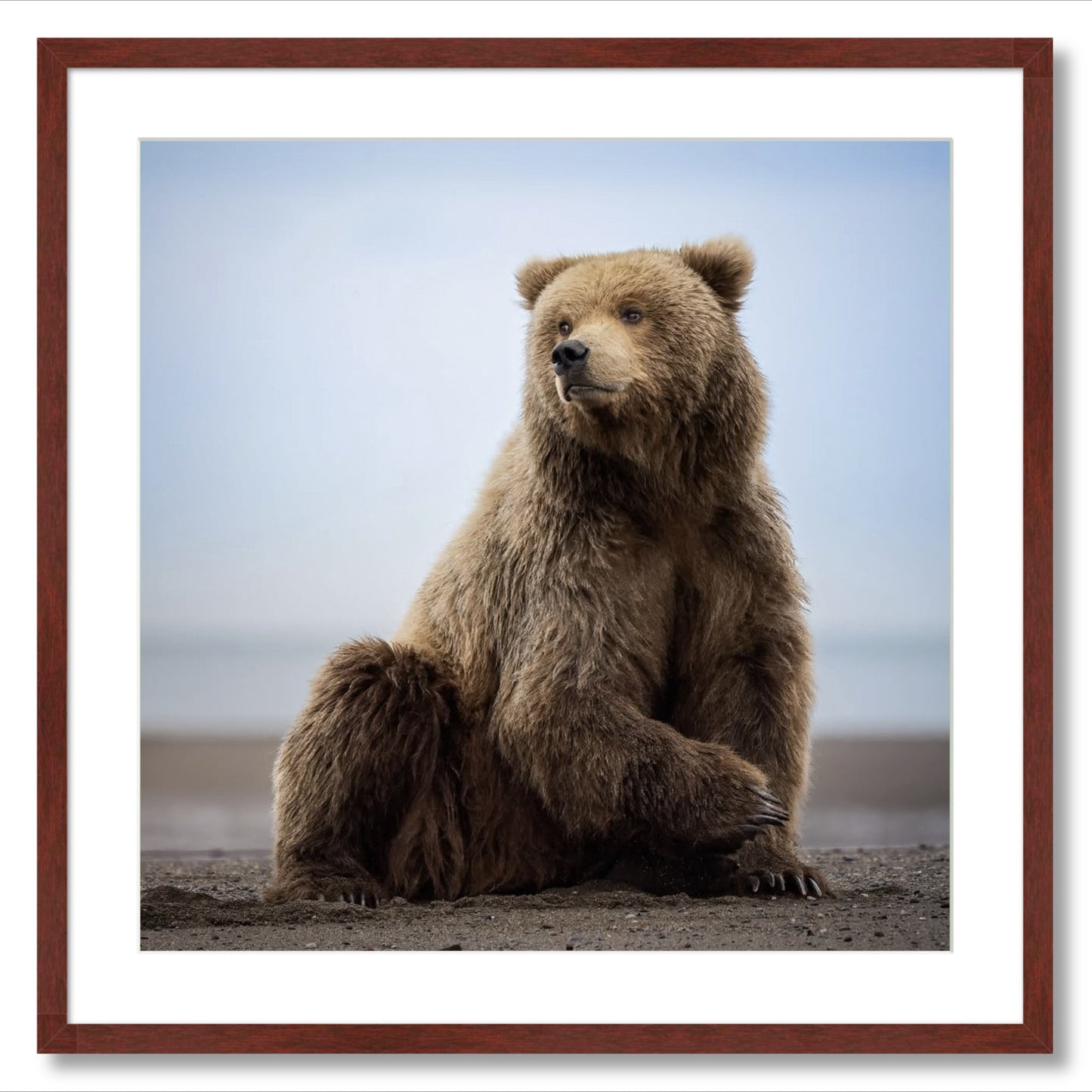 "Relaxing on the Beach"