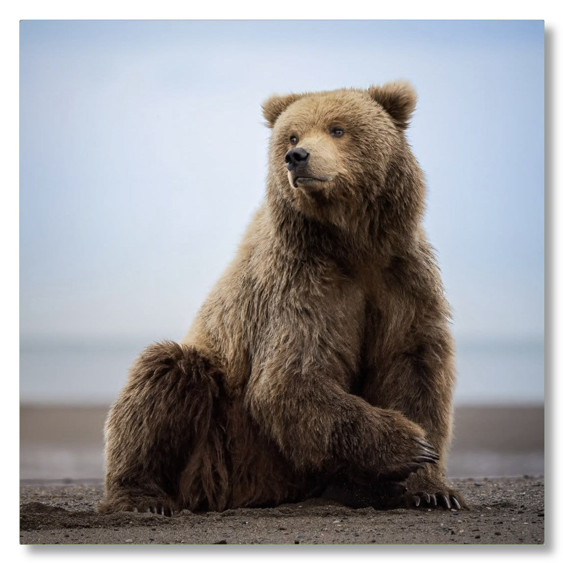 "Relaxing on the Beach"