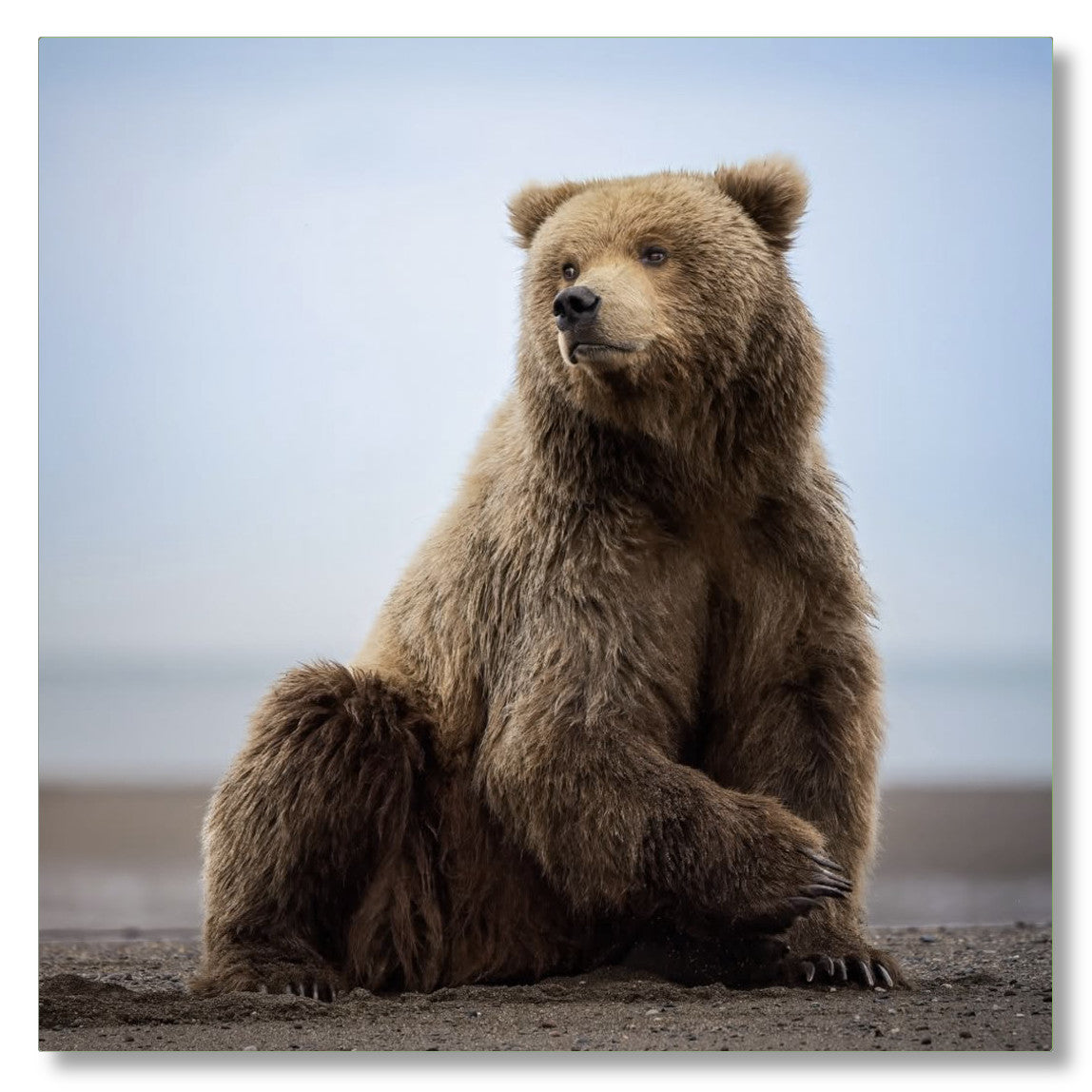 "Relaxing on the Beach"