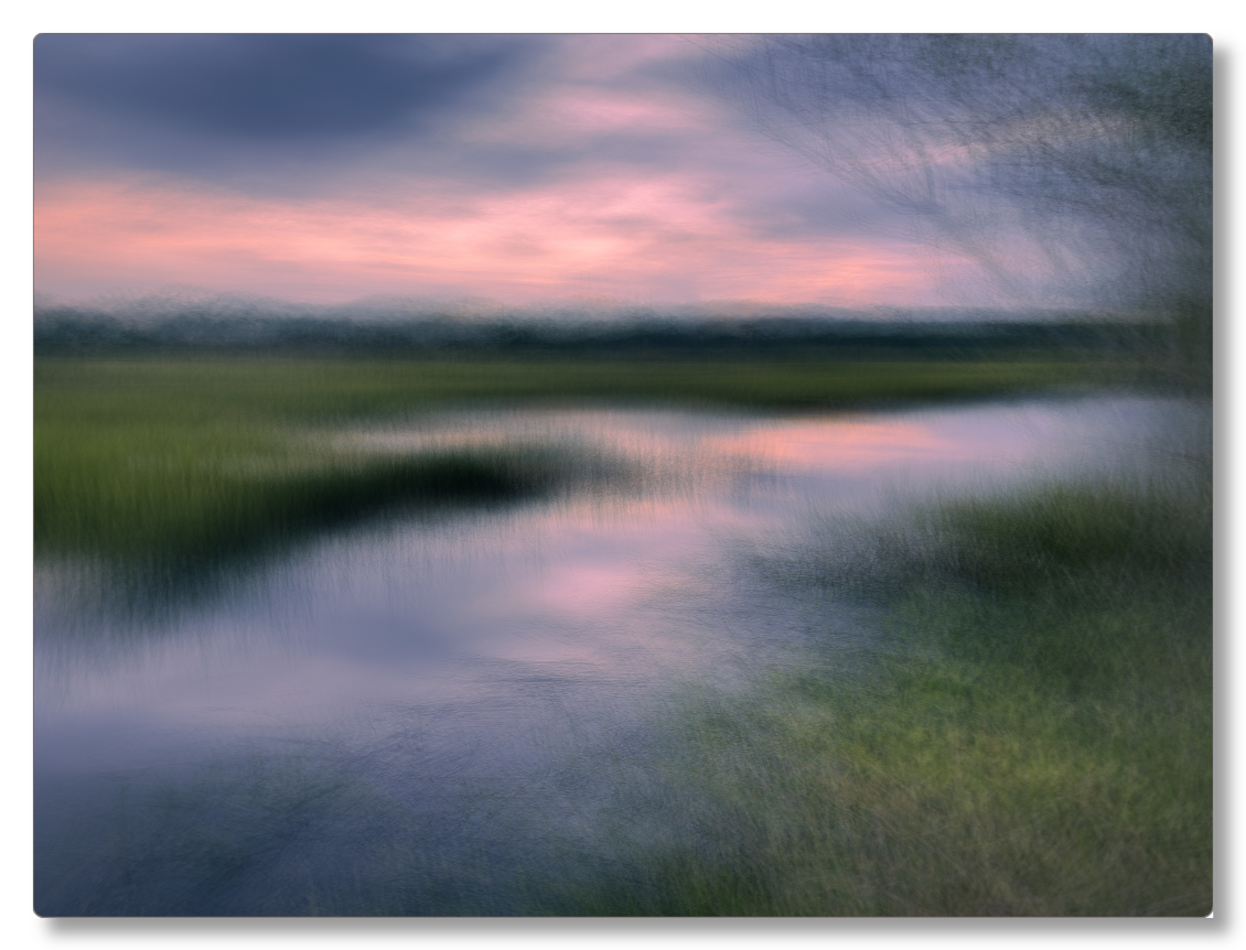 Stono River Marsh