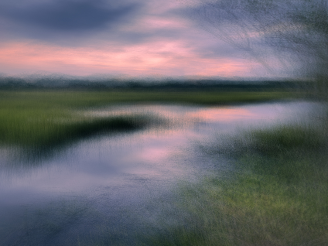 Stono River Marsh