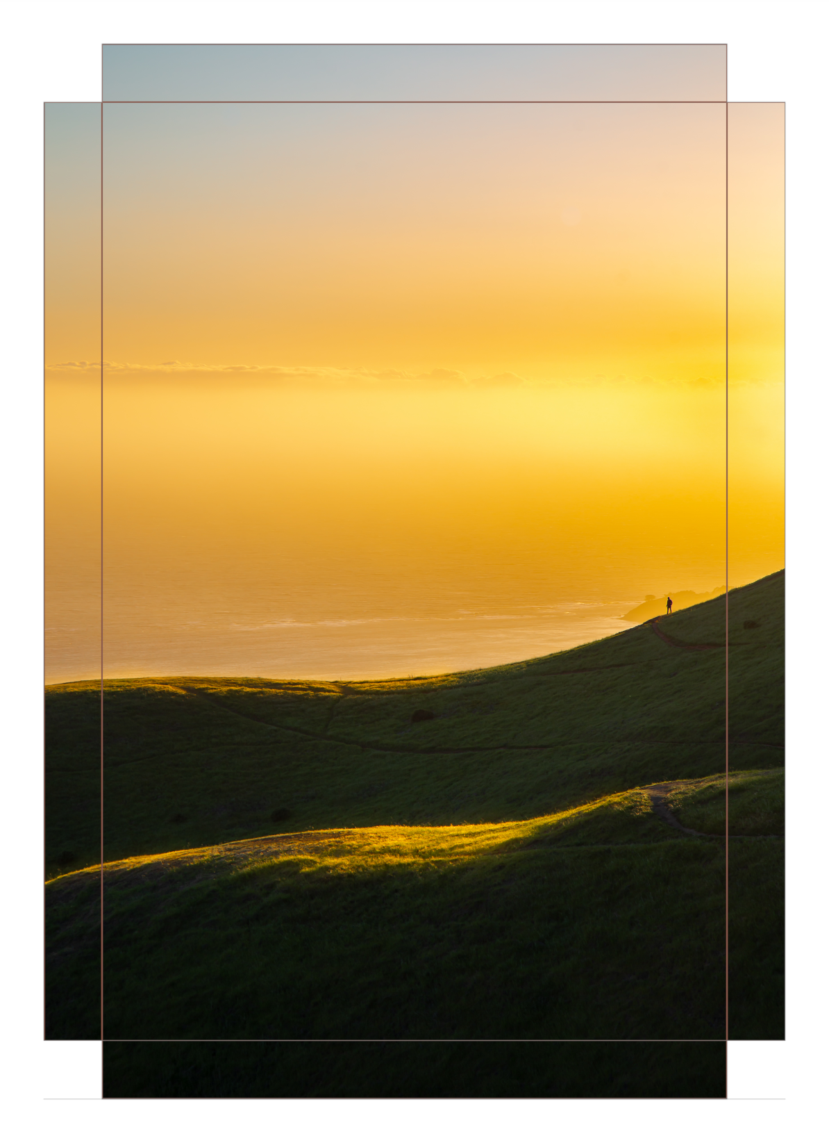 Sun-Kissed Hills