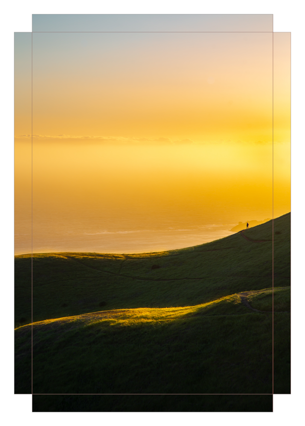 Sun-Kissed Hills
