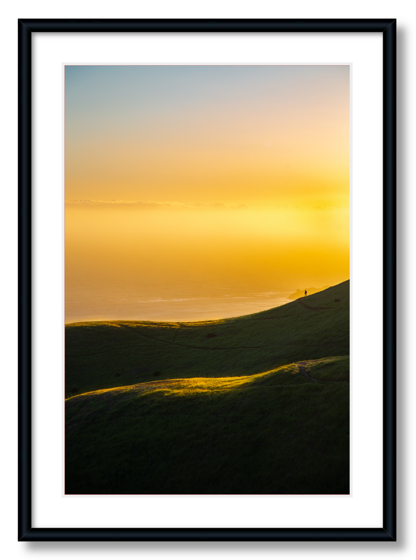 Sun-Kissed Hills