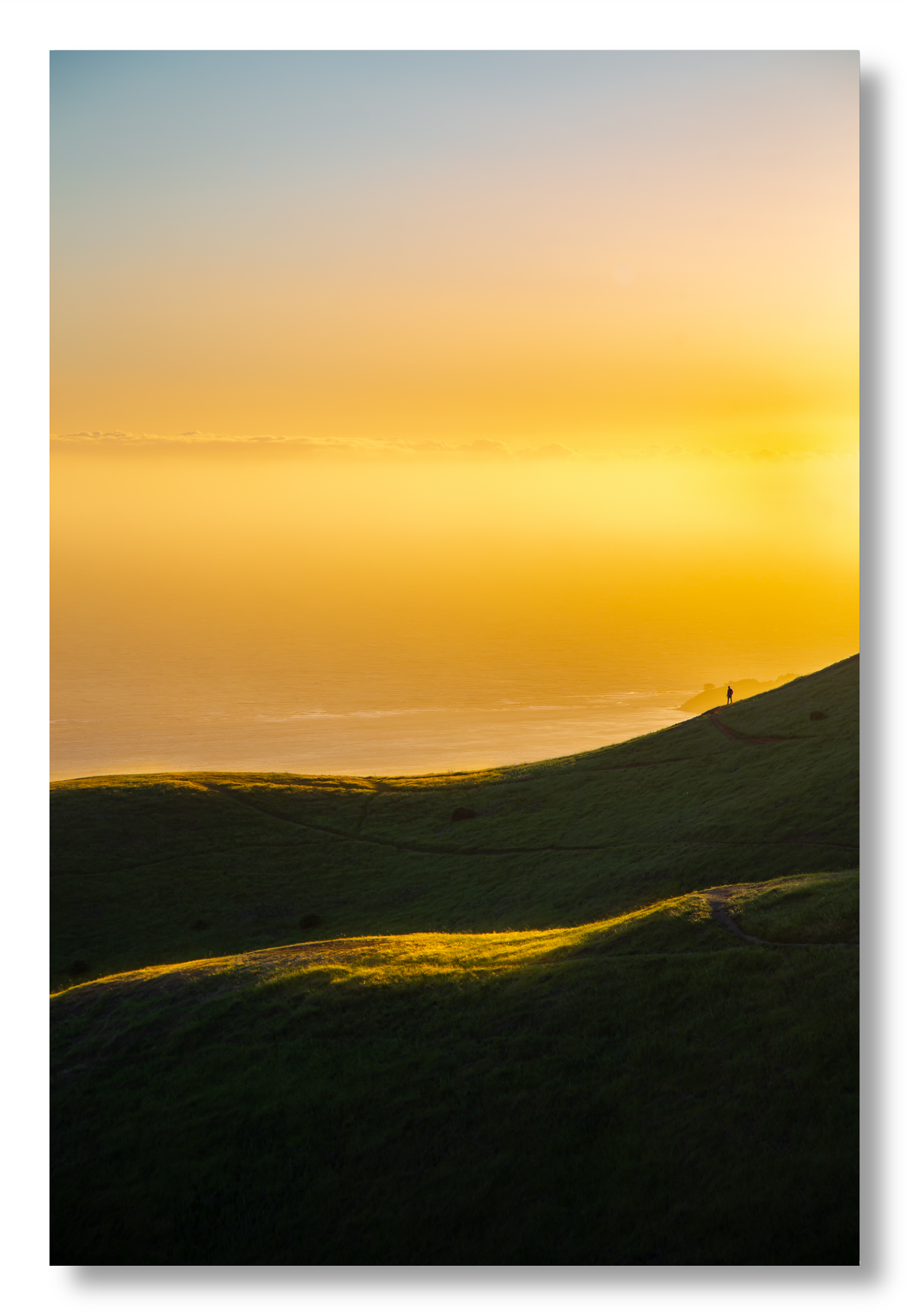 Sun-Kissed Hills