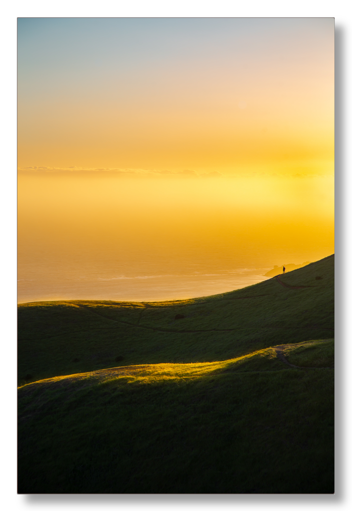 Sun-Kissed Hills