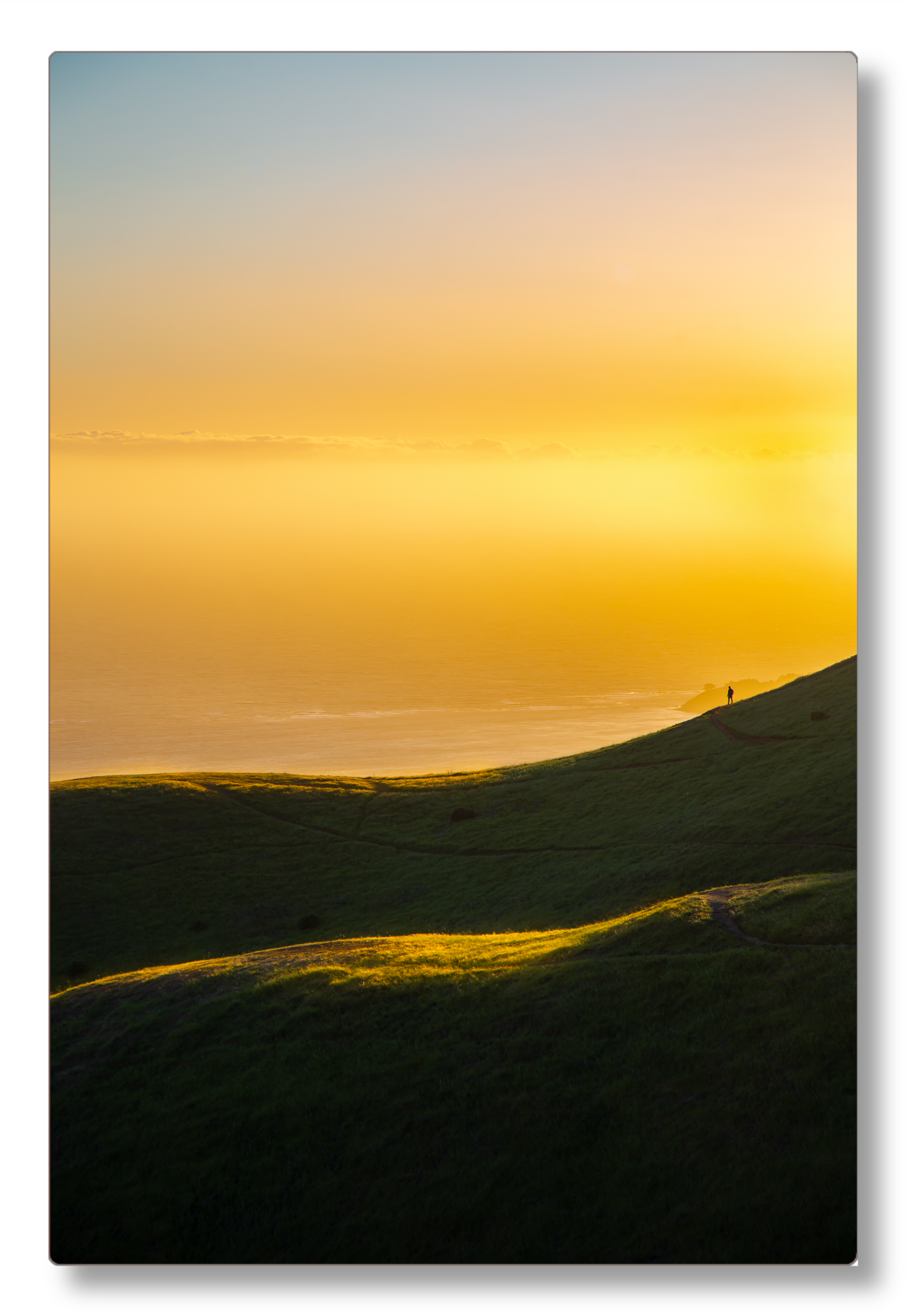 Sun-Kissed Hills
