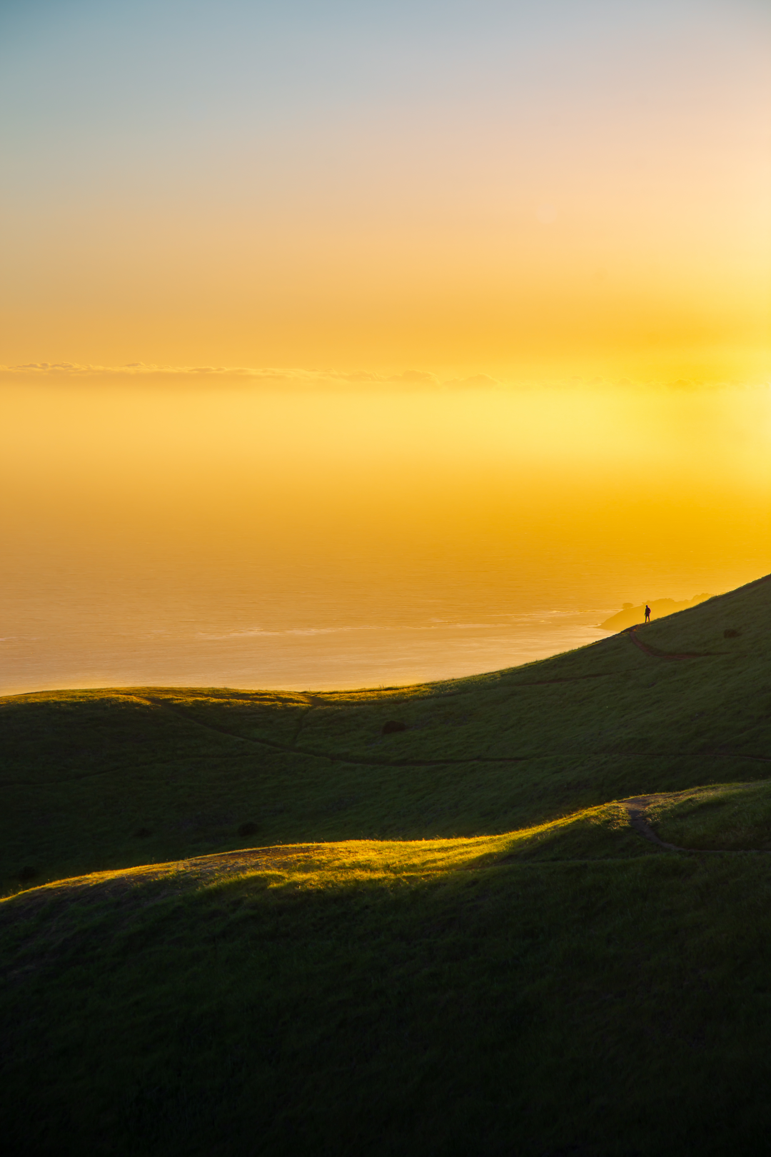Sun-Kissed Hills