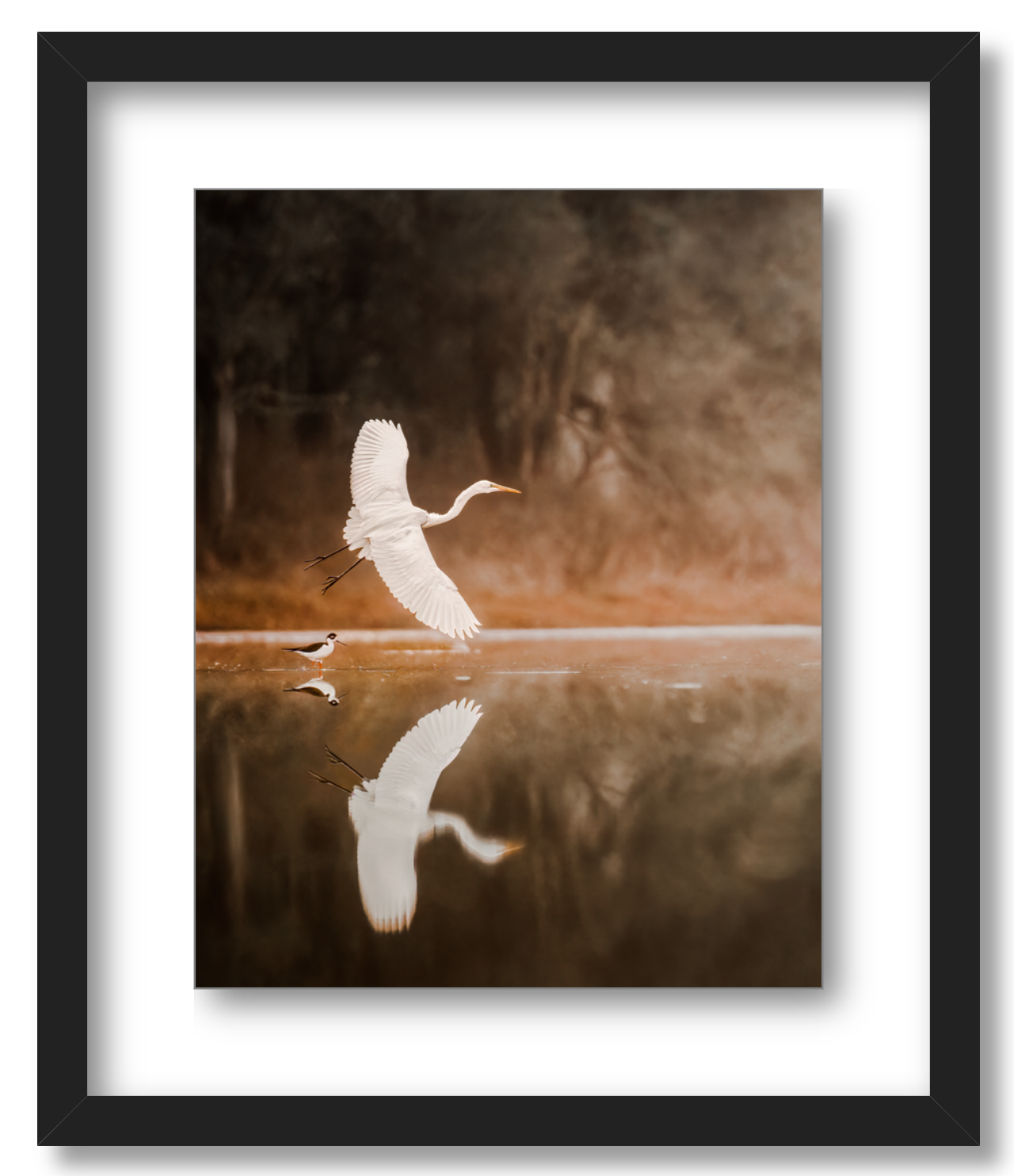 'Egret in Flight'