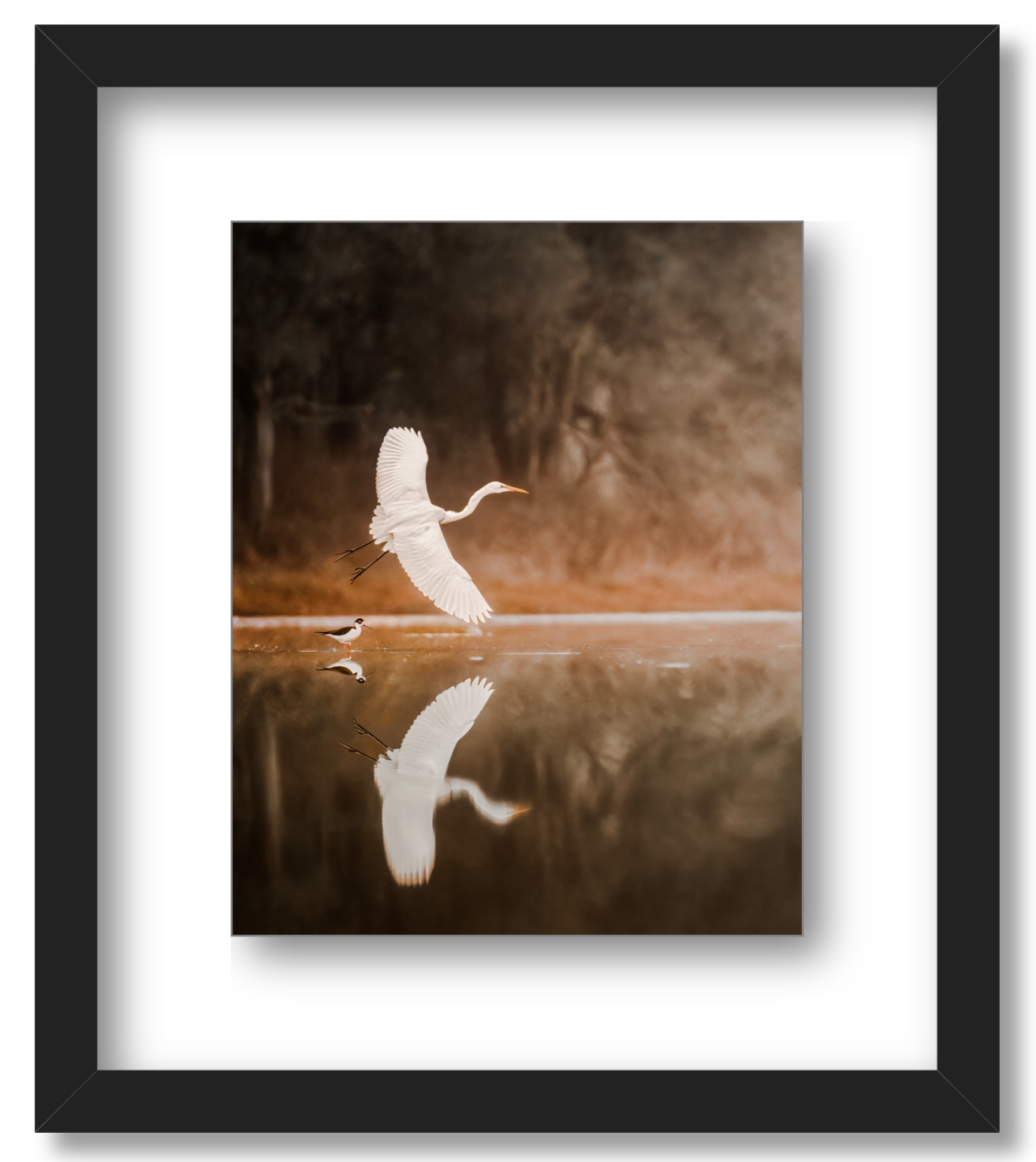 'Egret in Flight'