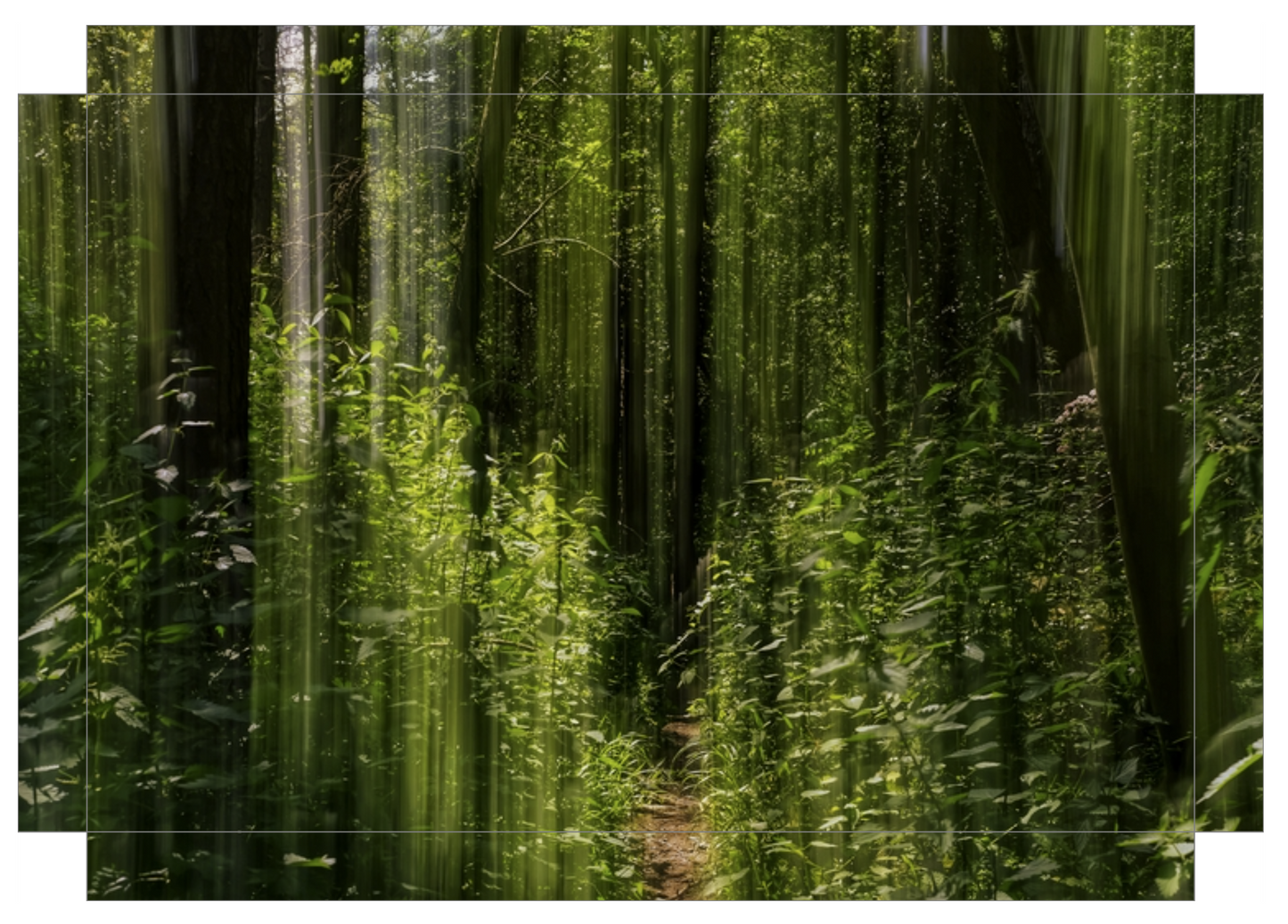 Obscured Path