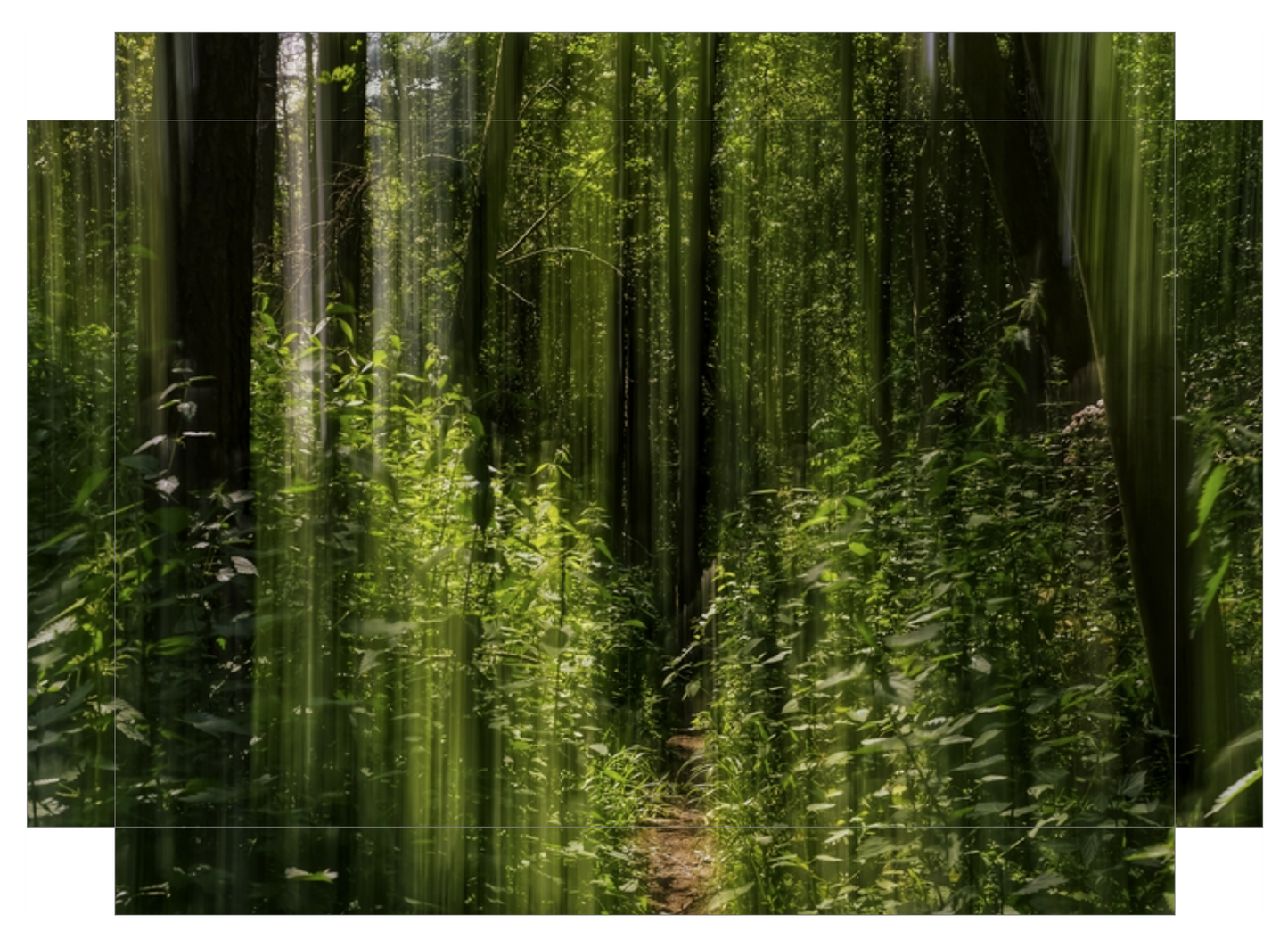 Obscured Path