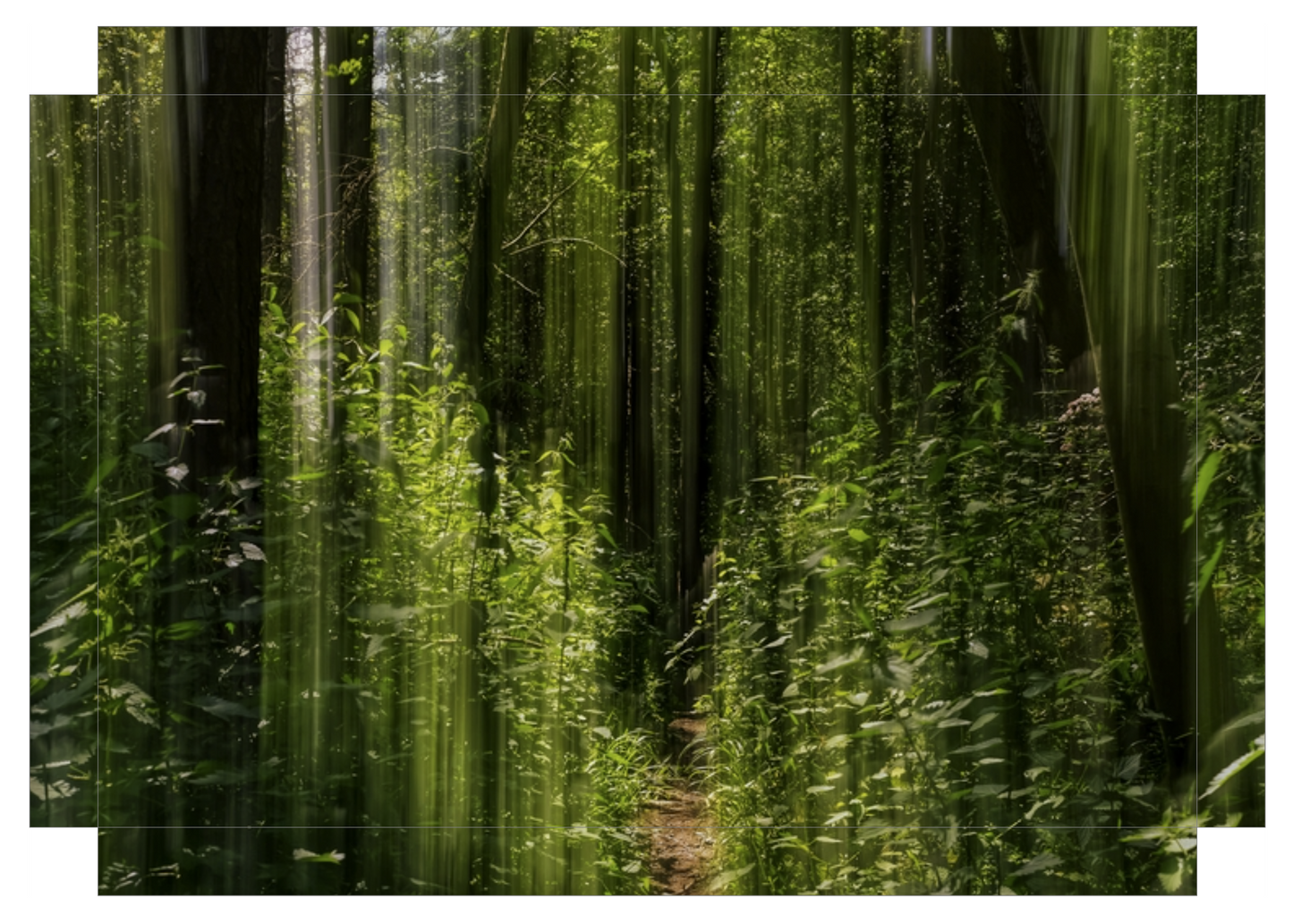 Obscured Path