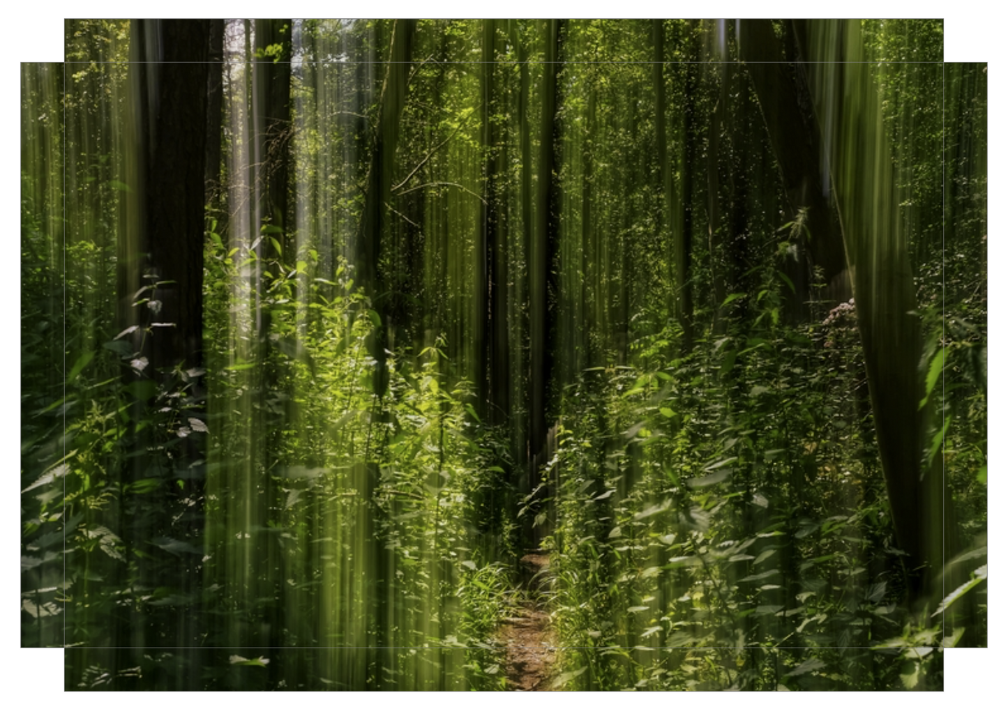 Obscured Path