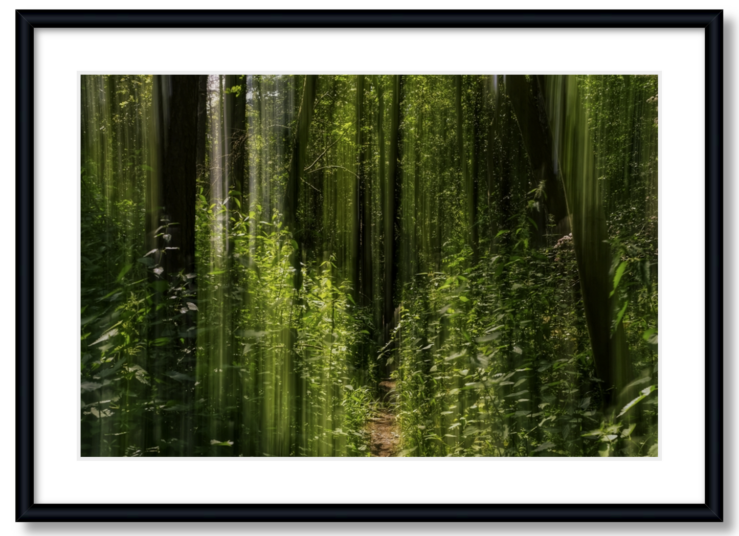 Obscured Path