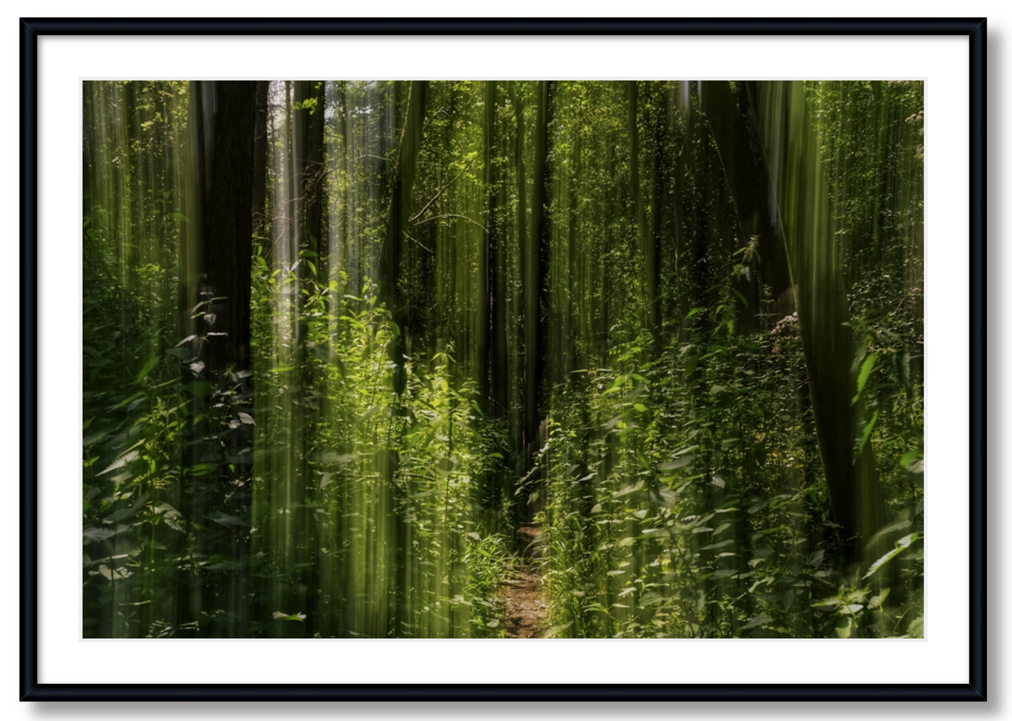 Obscured Path