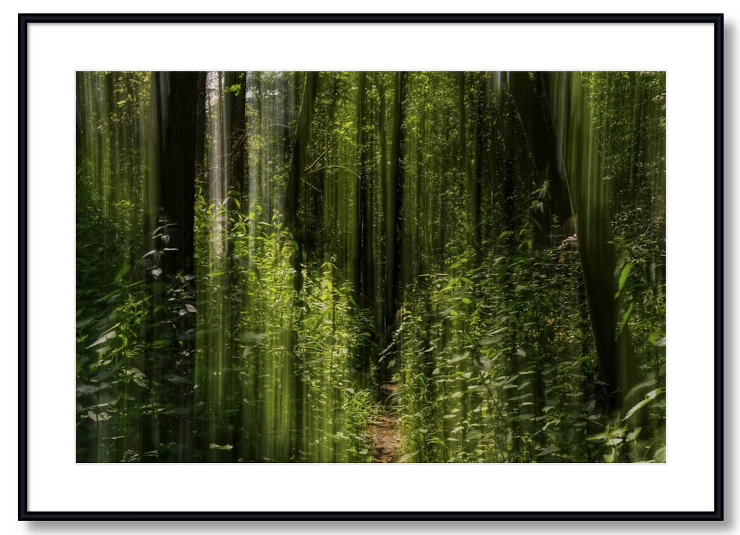 Obscured Path