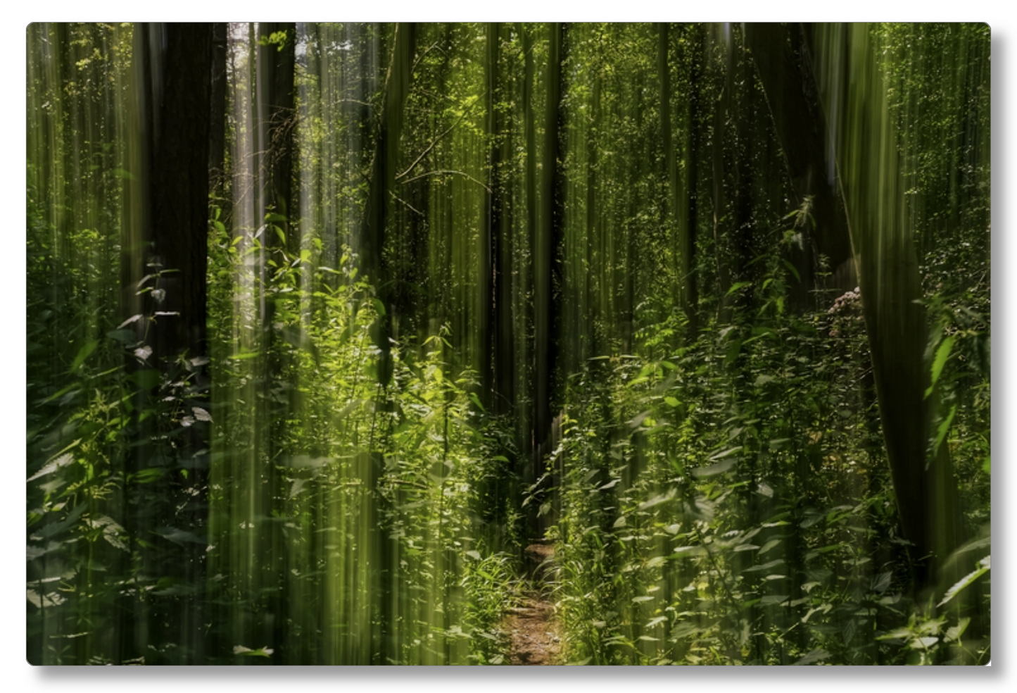 Obscured Path