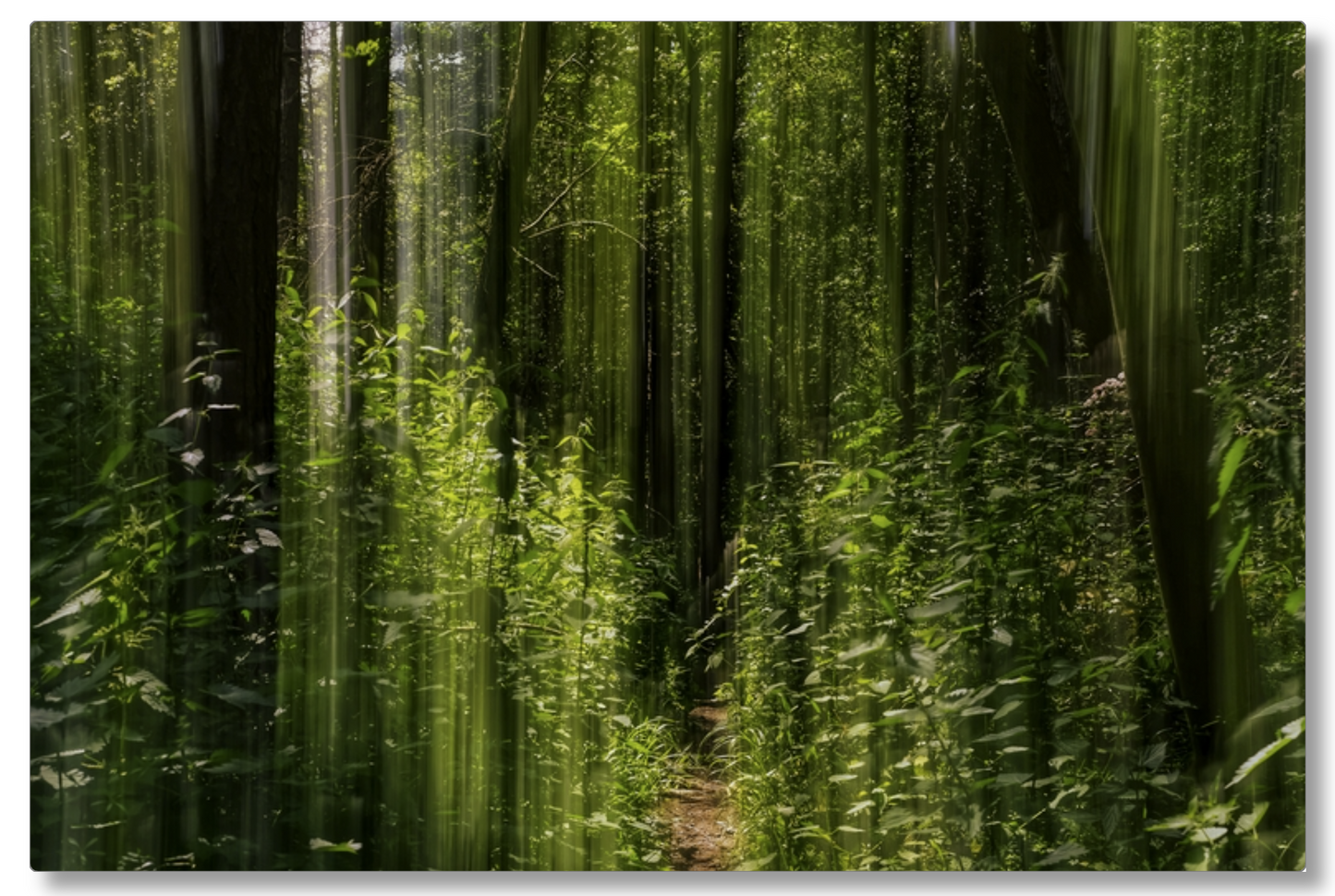 Obscured Path