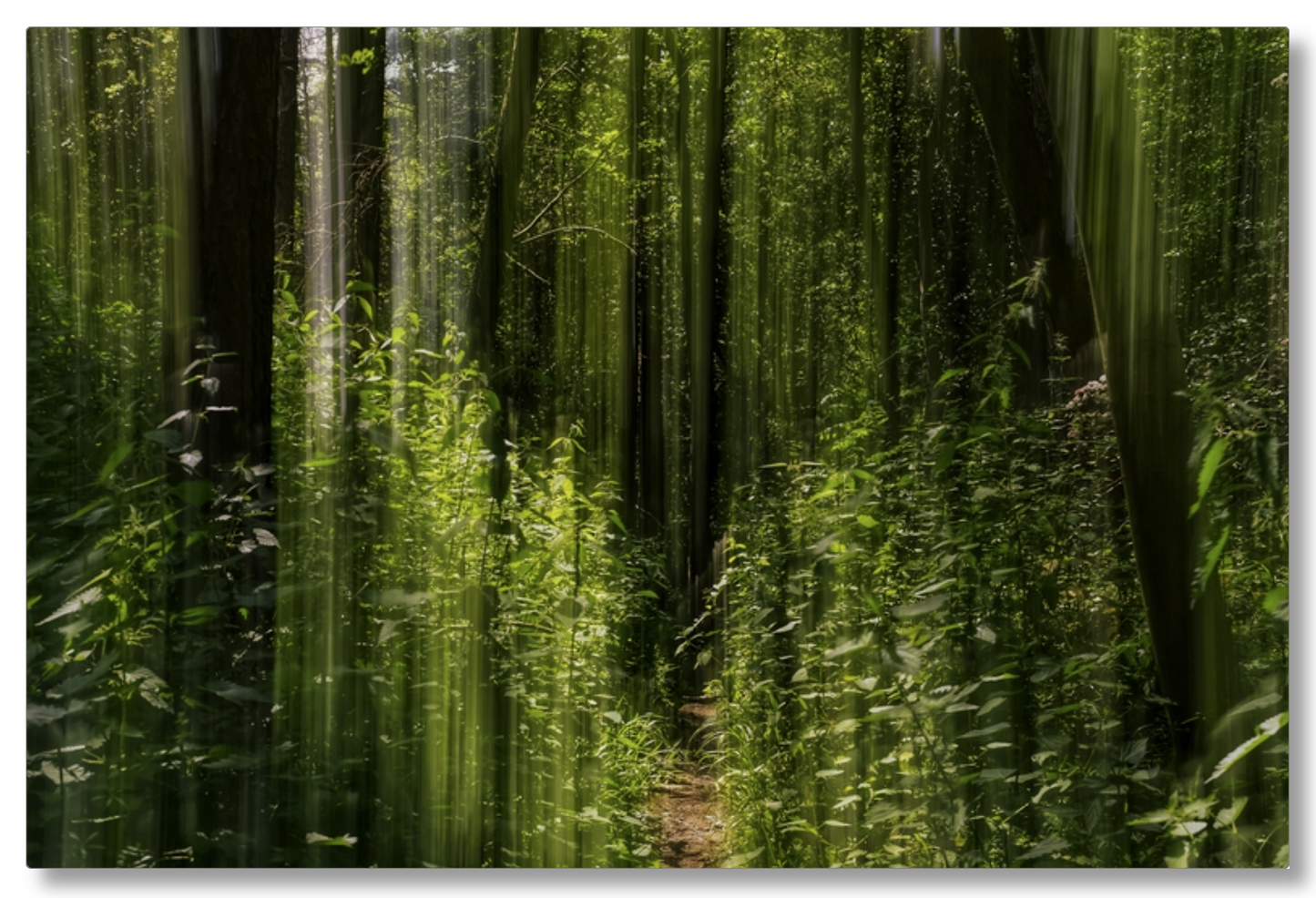 Obscured Path