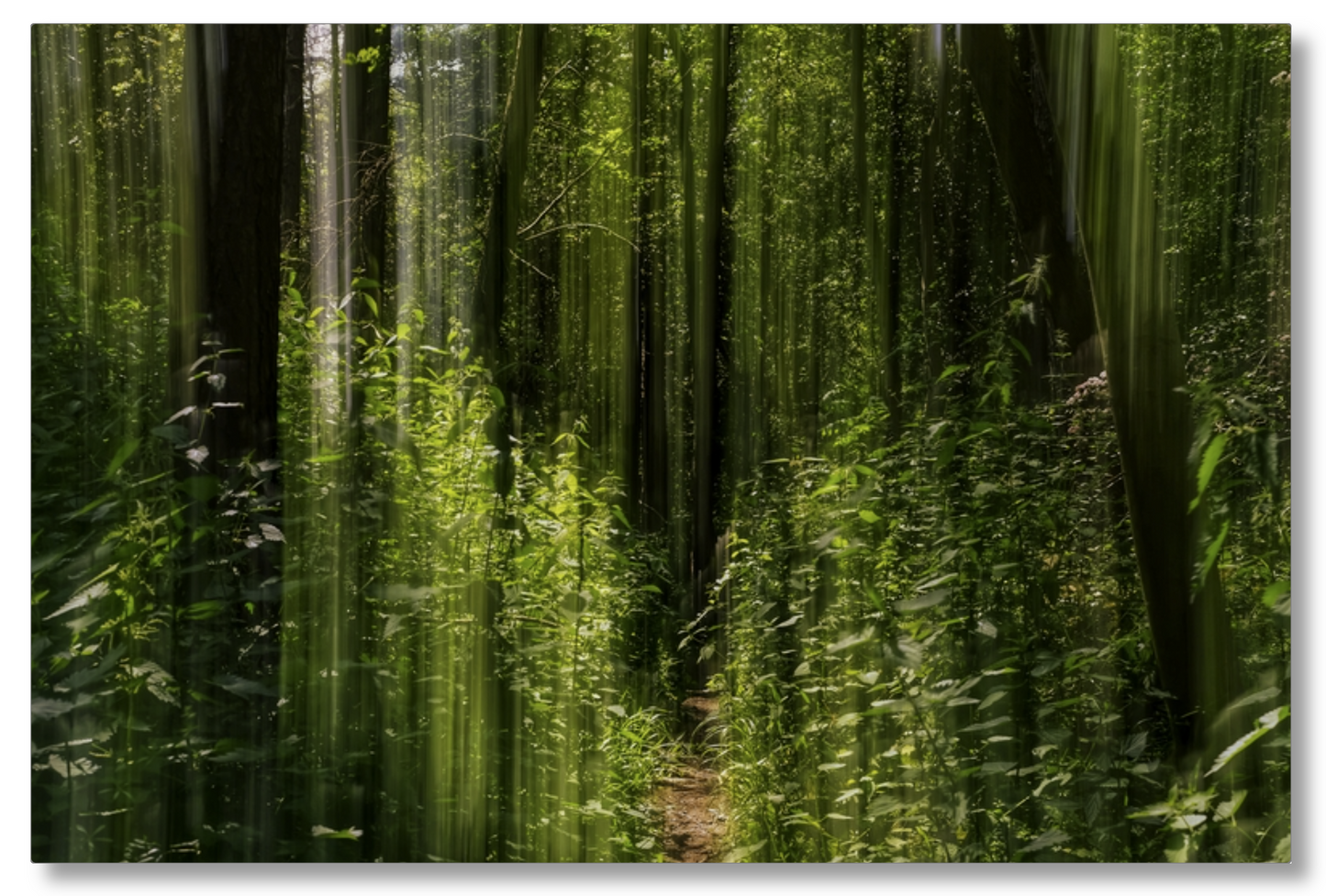 Obscured Path