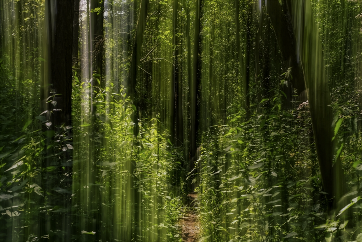 Obscured Path