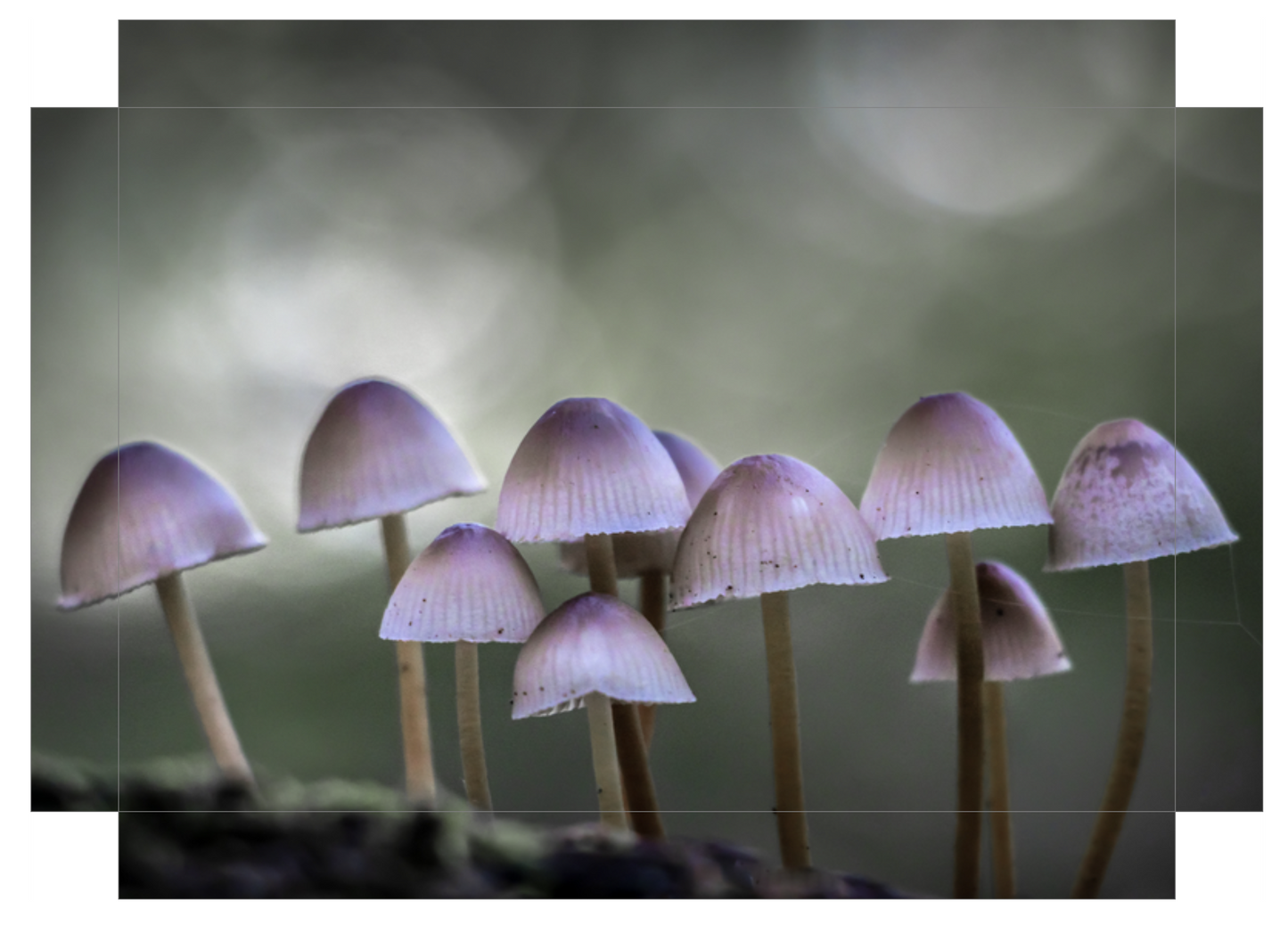 Ten Little Warriors