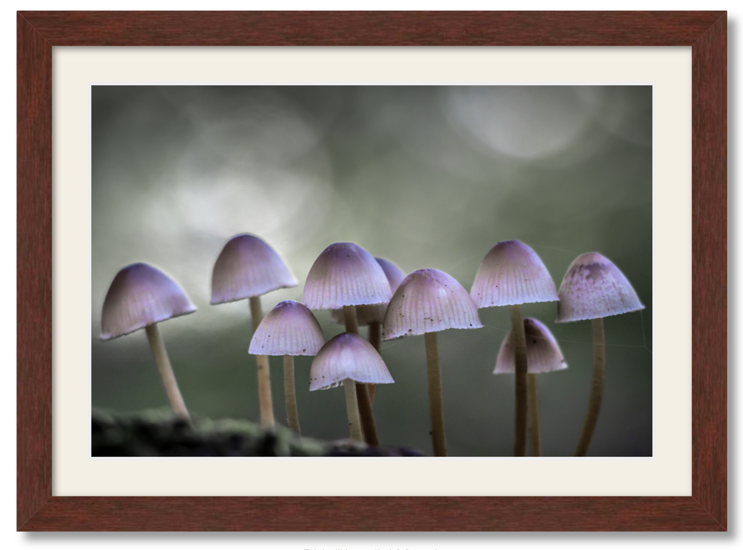 Ten Little Warriors