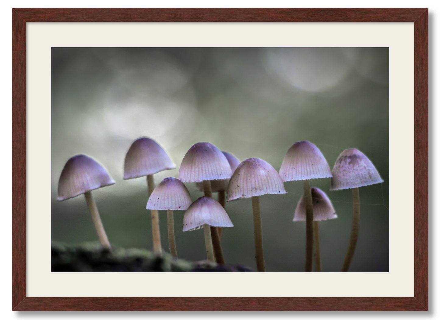 Ten Little Warriors